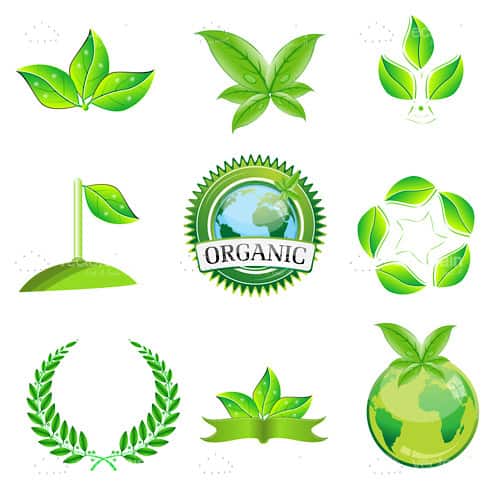 Organic Theme Icon Set with Green Leaves